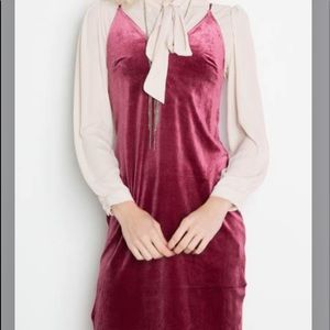 GORGEOUS BOUTIQUE DAINTY VELVET MERLOT SHIFT DRESS